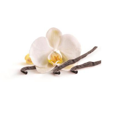 vanilla scent